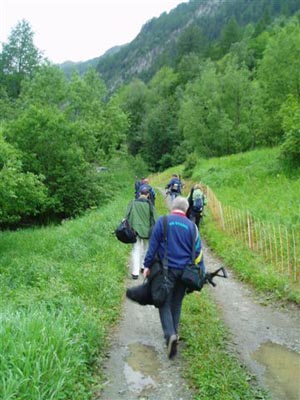 Walliser Kantonales