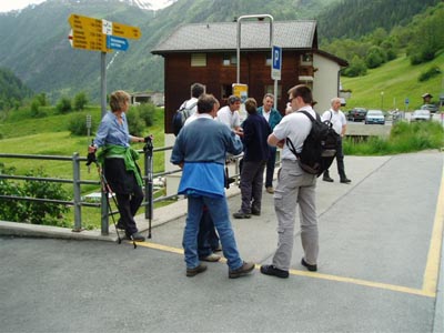 Walliser Kantonales