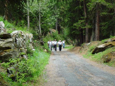 Walliser Kantonales