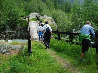 Walliser Kantonales
