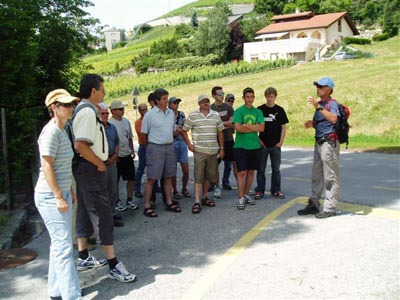 Walliser Kantonales