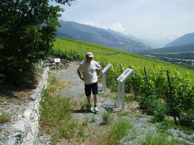 Walliser Kantonales