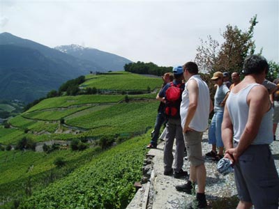 Walliser Kantonales