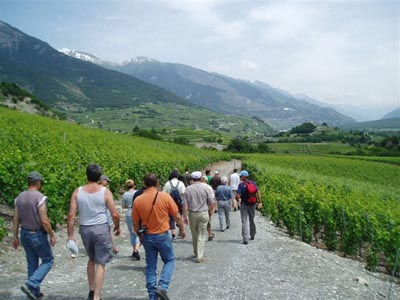 Walliser Kantonales