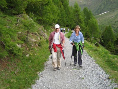 Walliser Kantonales