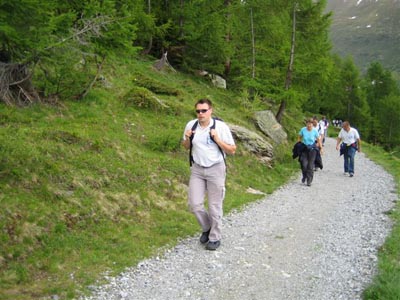 Walliser Kantonales