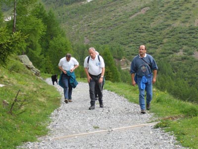 Walliser Kantonales