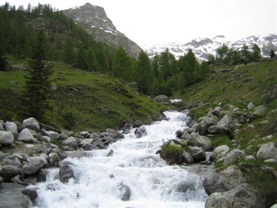 Walliser Kantonales