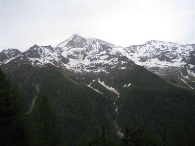 Walliser Kantonales