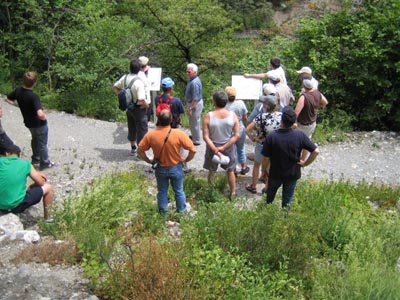 Walliser Kantonales