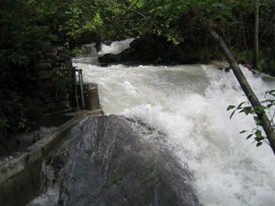 Walliser Kantonales